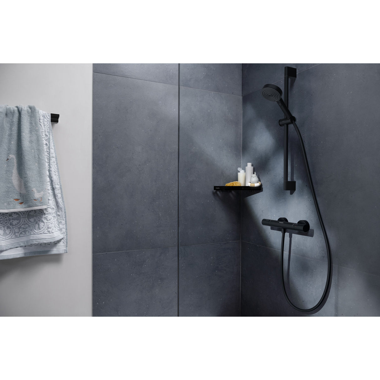 HANSGROHE Mitigeur de douche Ecostat Fine C3