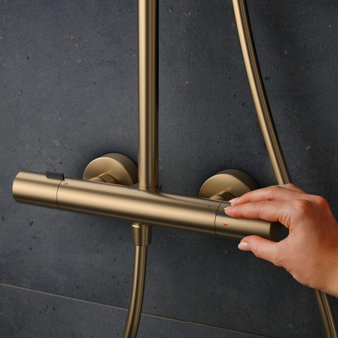 HANSGROHE Colonne de douche 260 1 jet Pulsify S Puro EcoSmart avec mitigeur thermostatique