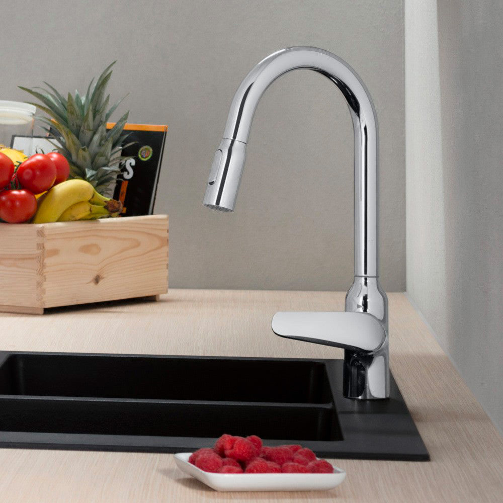 HANSGROHE Mitigeur de cuisine 180 2 jets Focus M42 avec douchette extractible 71801000