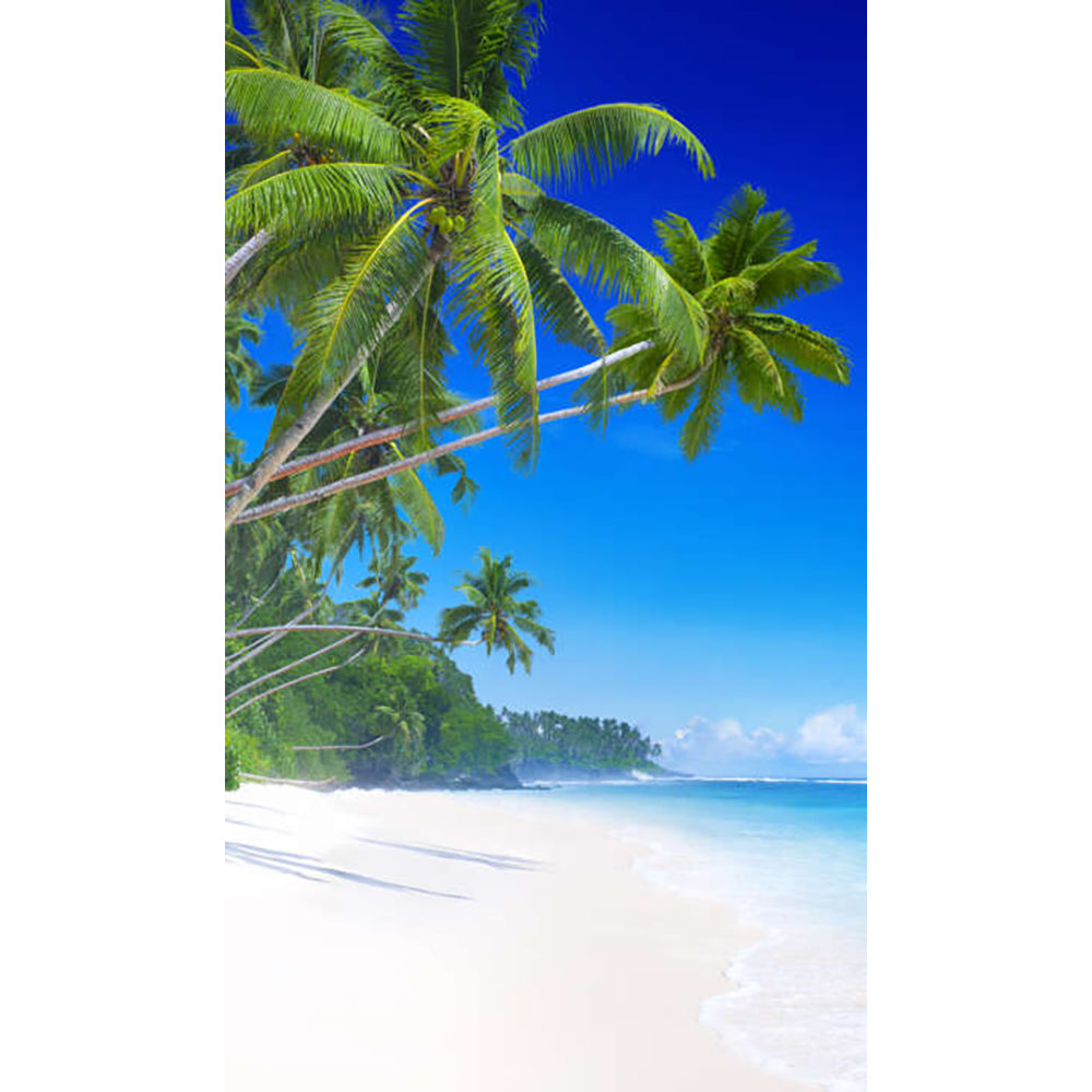 Panneau mural douche VIPANEL - Inspiration nature Plage - Finition brillant