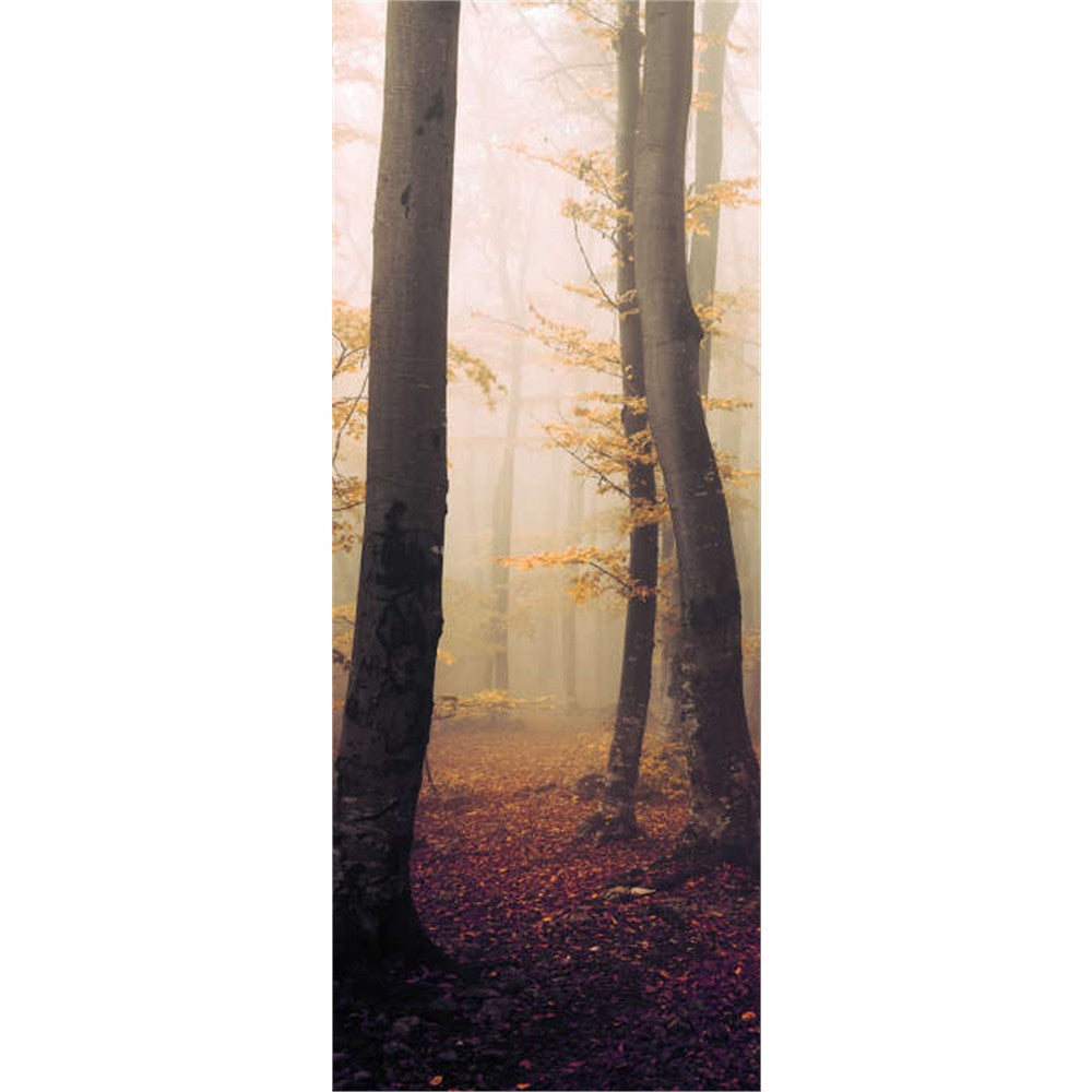 Panneau mural douche VIPANEL - Inspiration nature Forêt brumeuse d'Automne - Finition brillant