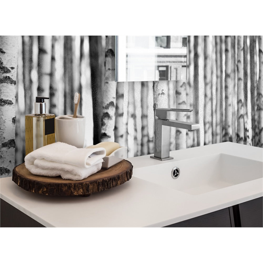 Panneau mural douche VIPANEL - Inspiration nature Bouleaux - Finition brillant