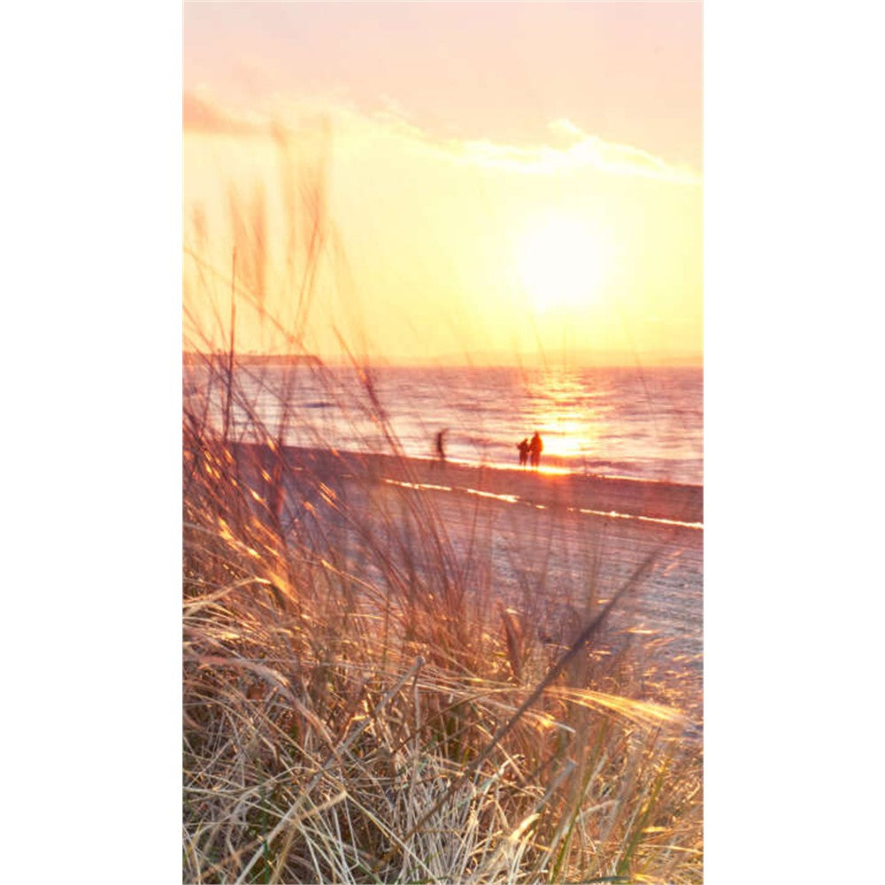 Panneau mural douche VIPANEL - Inspiration nature Dune bord de mer - Finition brillant