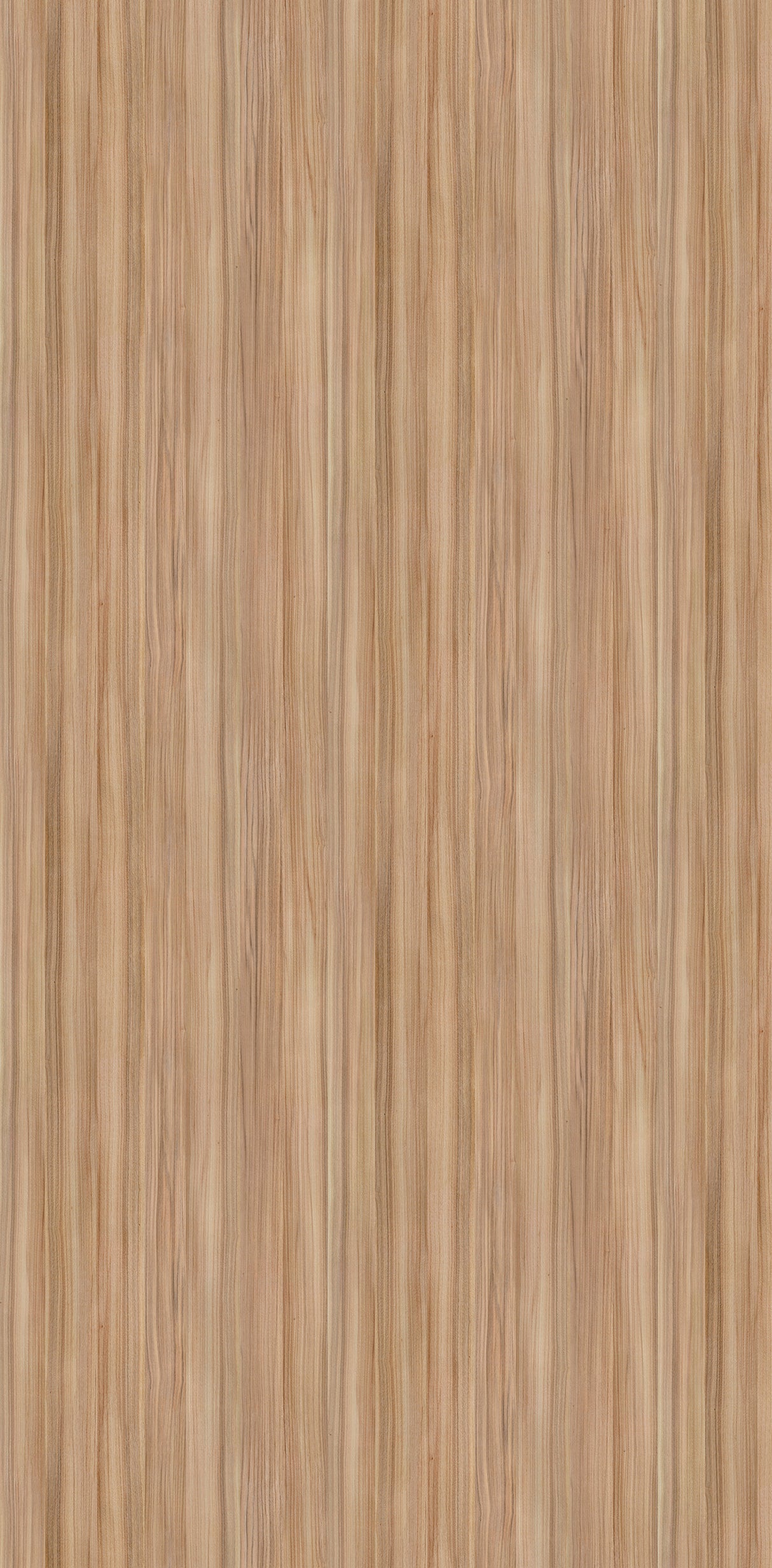 VIPANEL Panneau mural en alu-composite aspect bois Peuplier finition brillant