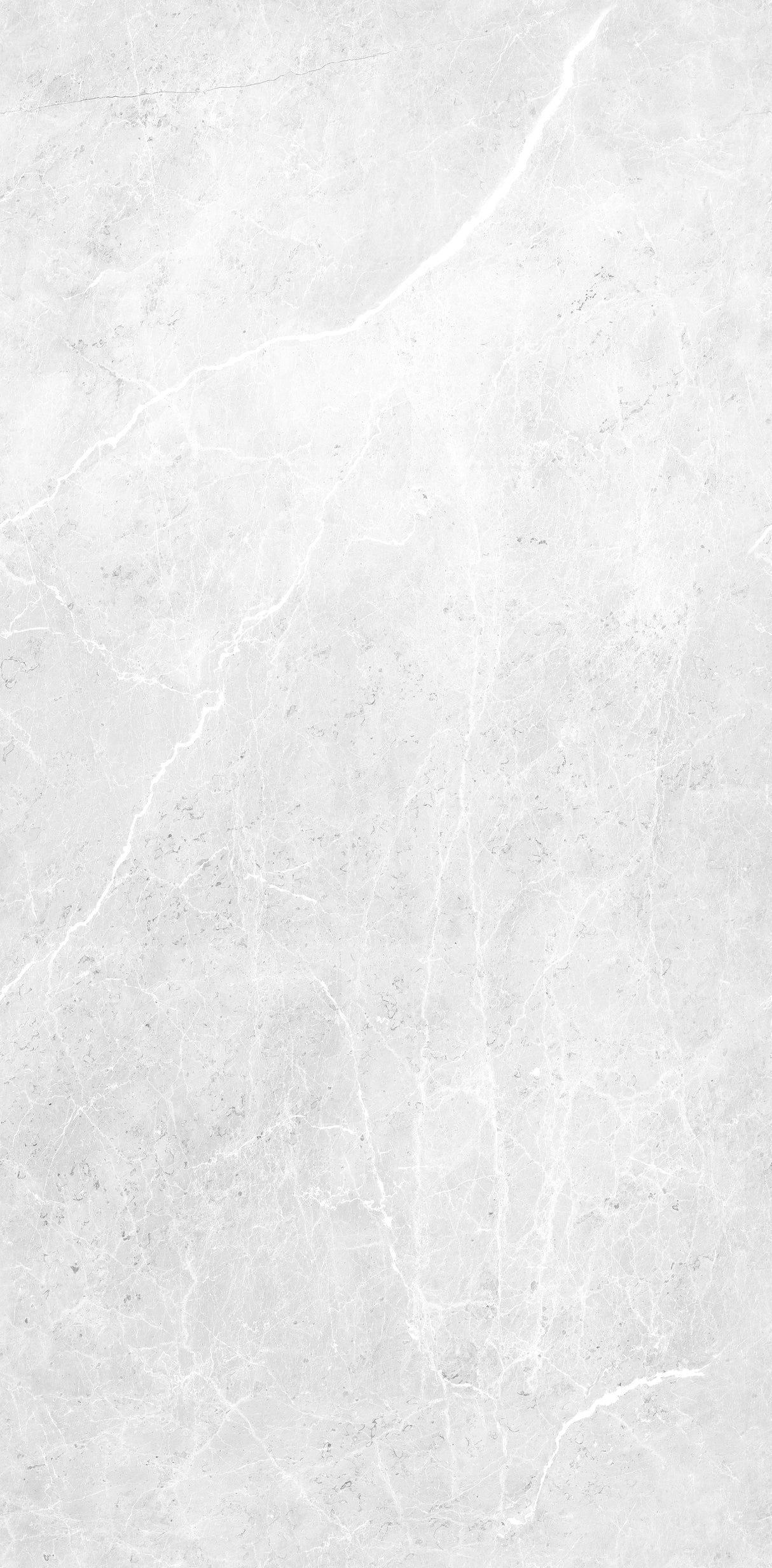 VIPANEL Panneau mural en alu-composite aspect aragon Gris finition brillant