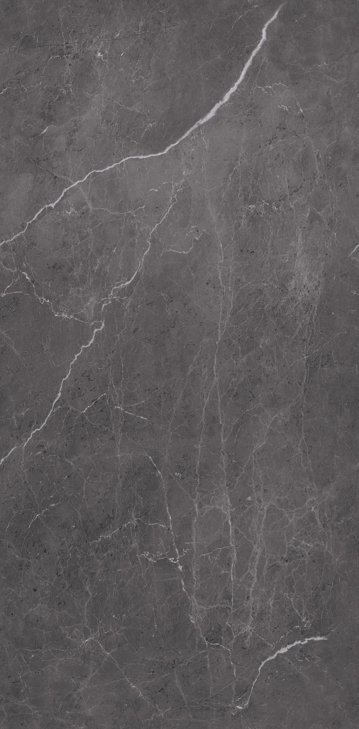 VIPANEL Panneau mural en alu-composite aspect aragon Noir finition brillant