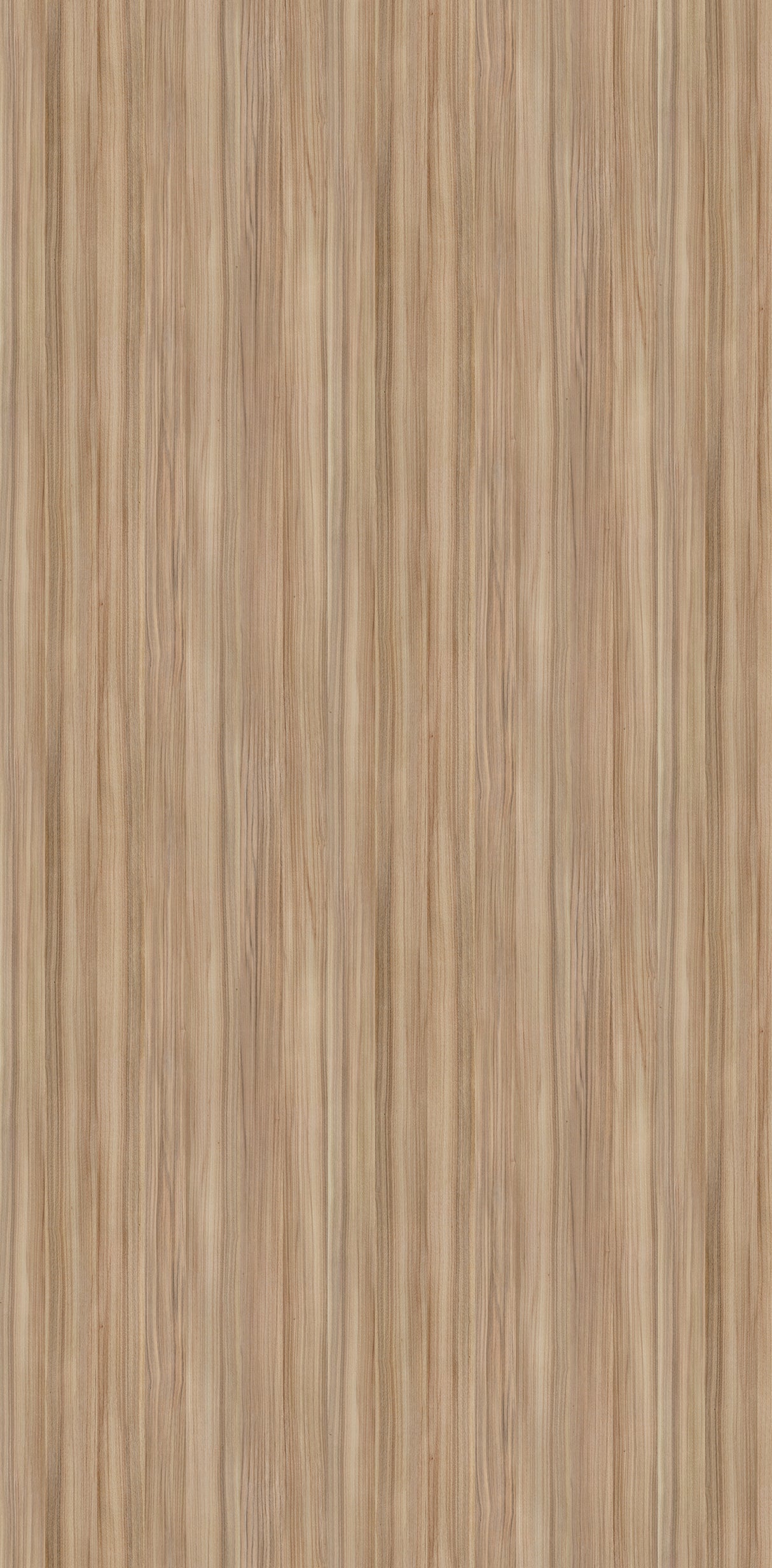 VIPANEL Panneau mural en alu-composite aspect bois Peuplier finition brillant