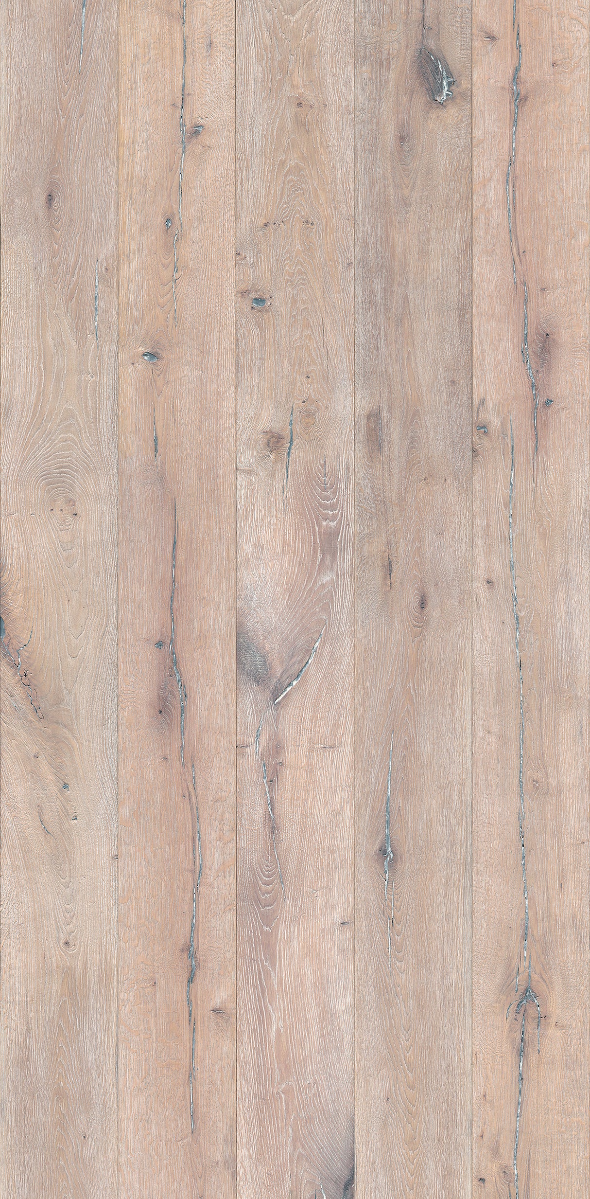 VIPANEL Panneau mural en alu-composite aspect bois coloris Chêne finition mat perlée