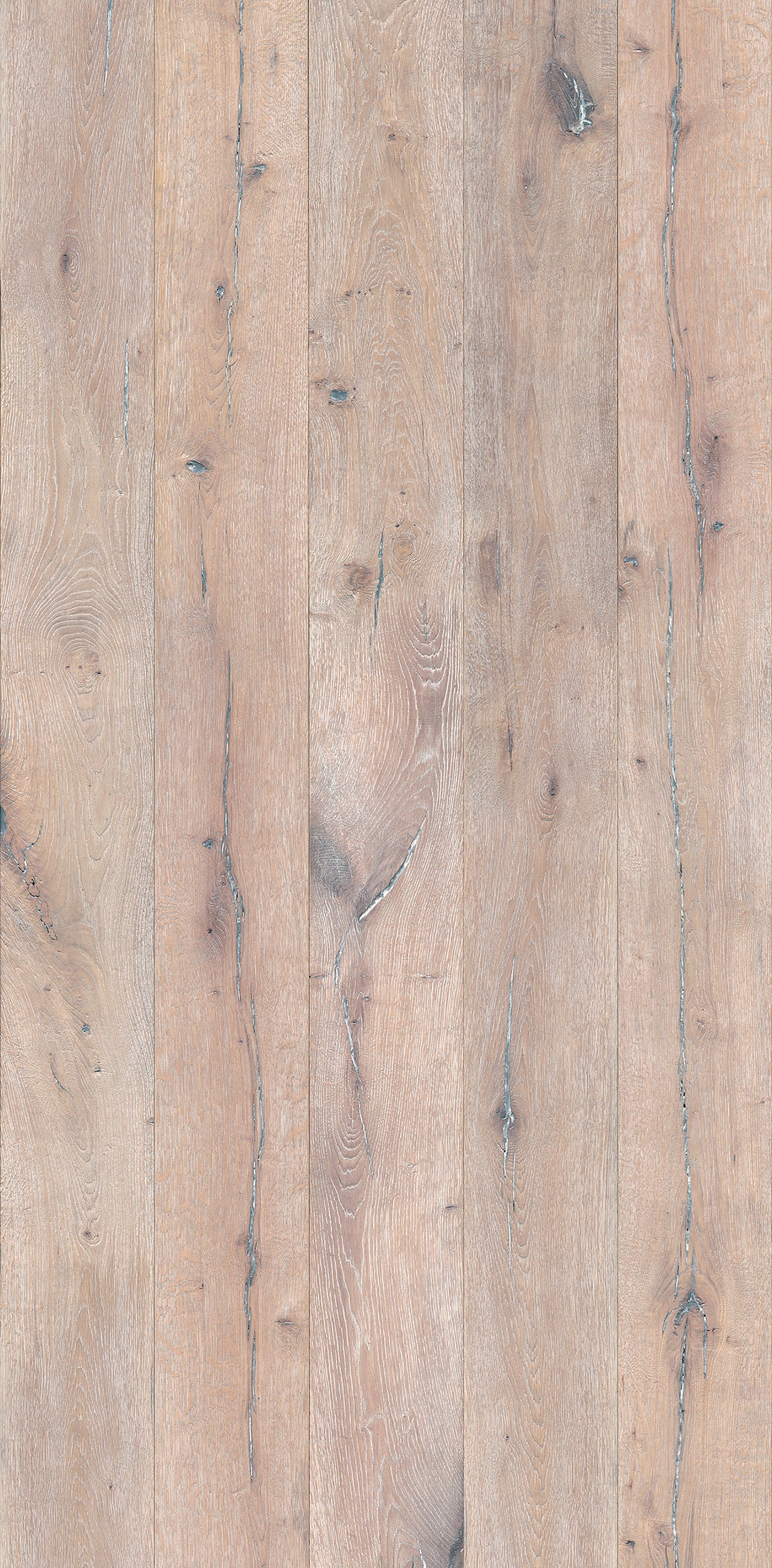 VIPANEL Panneau mural en alu-composite aspect bois coloris Chêne finition mat perlée