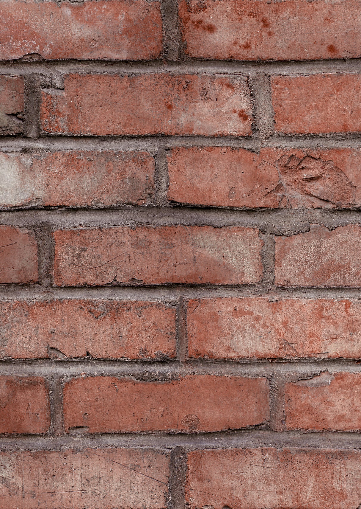 VIPANEL Panneau mural en alu-composite aspect marbre Briques rouges finition Velvet