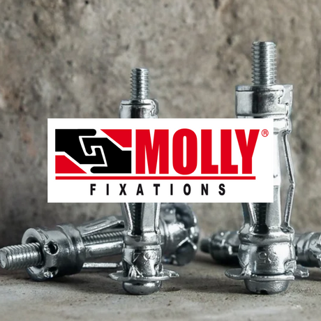 MOLLY - Mister PRO
