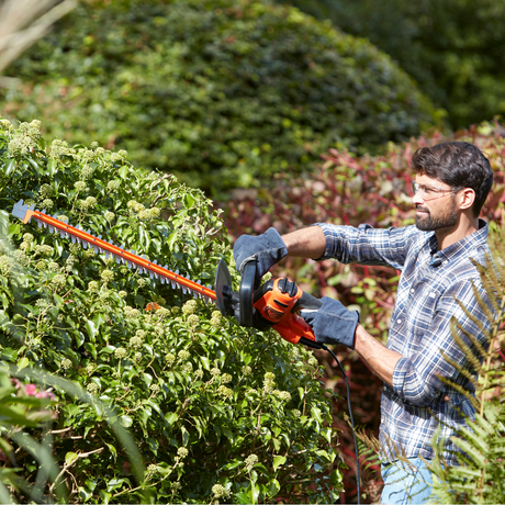 Outillage électroportatif pour votre jardin : coupe-bordure, tronçonneuse, taille-haies, sécateurs...
