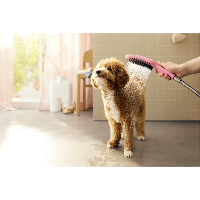 DogShower Douchette pour chien 150 3 jets, rose Hansgrohe 26640560