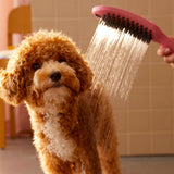 HANSGROHE Douchette pour chien 150 3 jets DogShower 26640560