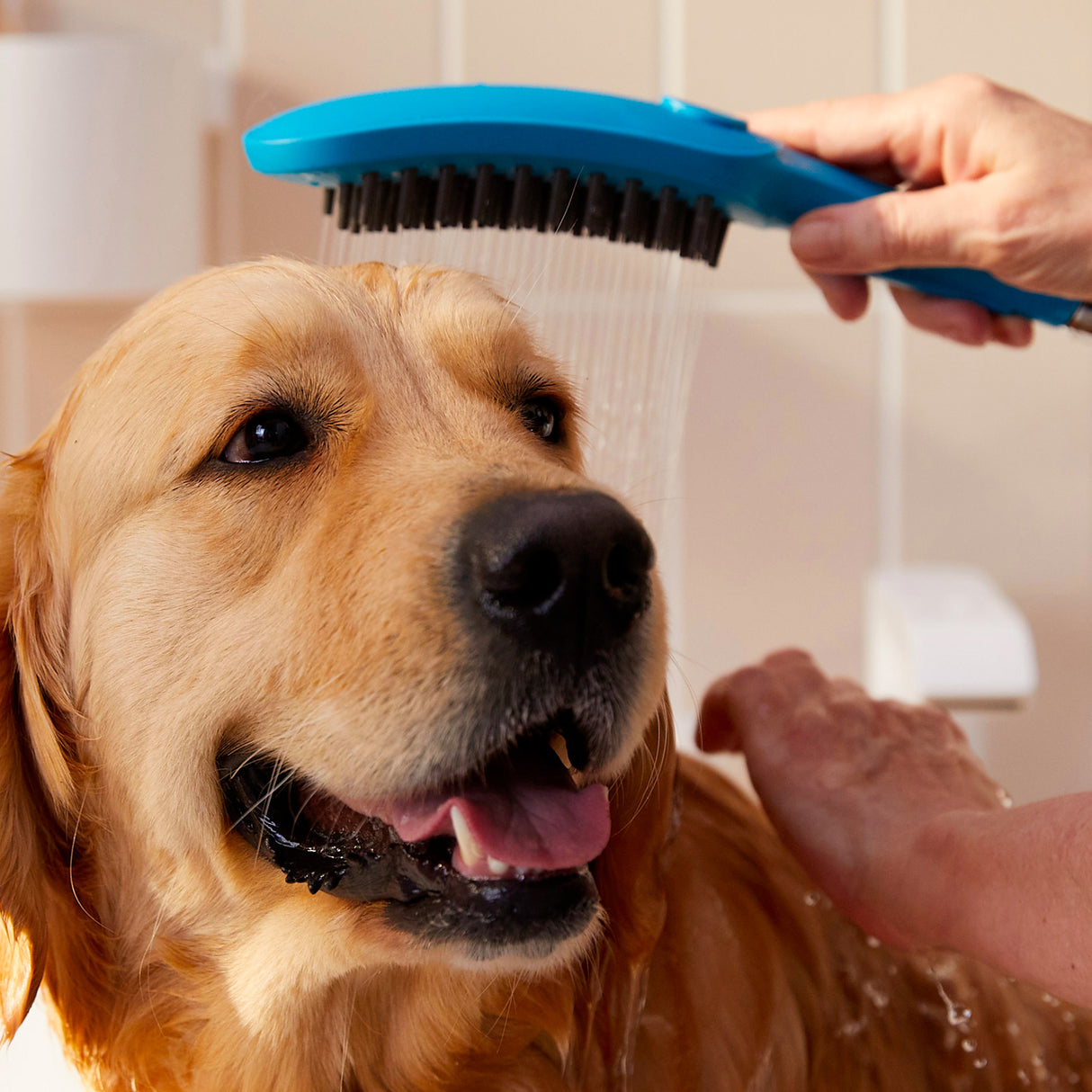 HANSGROHE Douchette pour chien 150 3 jets DogShower 26640540
