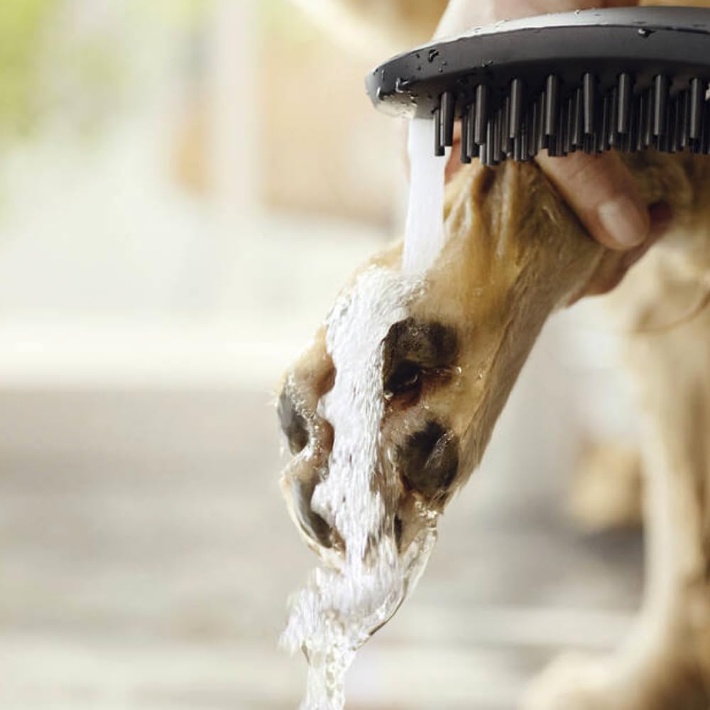 HANSGROHE Douchette pour chien 150 3 jets DogShower 26640540