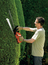 BLACK+DECKER Taille-haies sans fil 45cm 18V 2Ah avec garde transparente GTC1845L20-QW