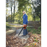BLACK+DECKER Aspirateur-souffleur-broyeur de feuilles sans fil 36V 2Ah GWC3600L20-QW