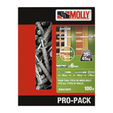 Molly PRO-PACK 100 chevilles à frapper Ø 6 x 40mm - Mister PRO