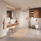 GROHE Flexible de douche 1250mm Silverflex TwistStop