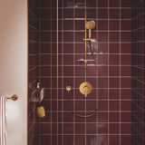 GROHE Mitigeur de douche monocommande 1 sortie Lineare