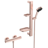 Set de douche avec mitigeur thermostatique, barre 60cm et douchette Ø10cm 2 jets CERATHERM ALU+