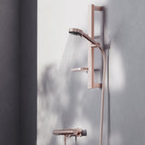 Set de douche avec mitigeur thermostatique, barre 60cm et douchette Ø10cm 2 jets CERATHERM ALU+