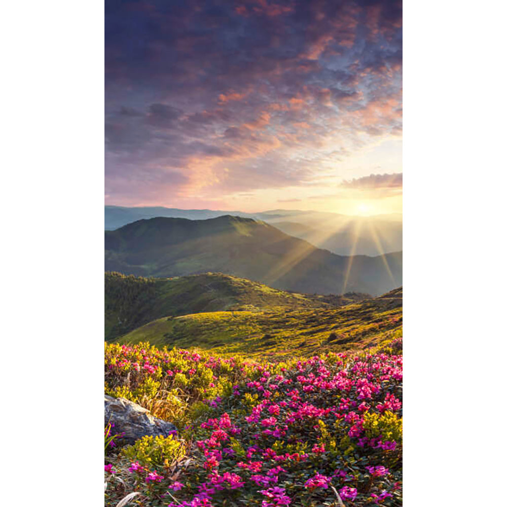 Panneau mural douche VIPANEL - Inspiration nature Lever de soleil sur la montagne - Finition brillant