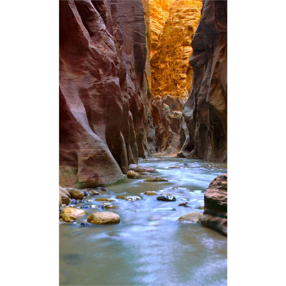 Panneau mural douche VIPANEL - Inspiration nature Arizona - Finition brillant