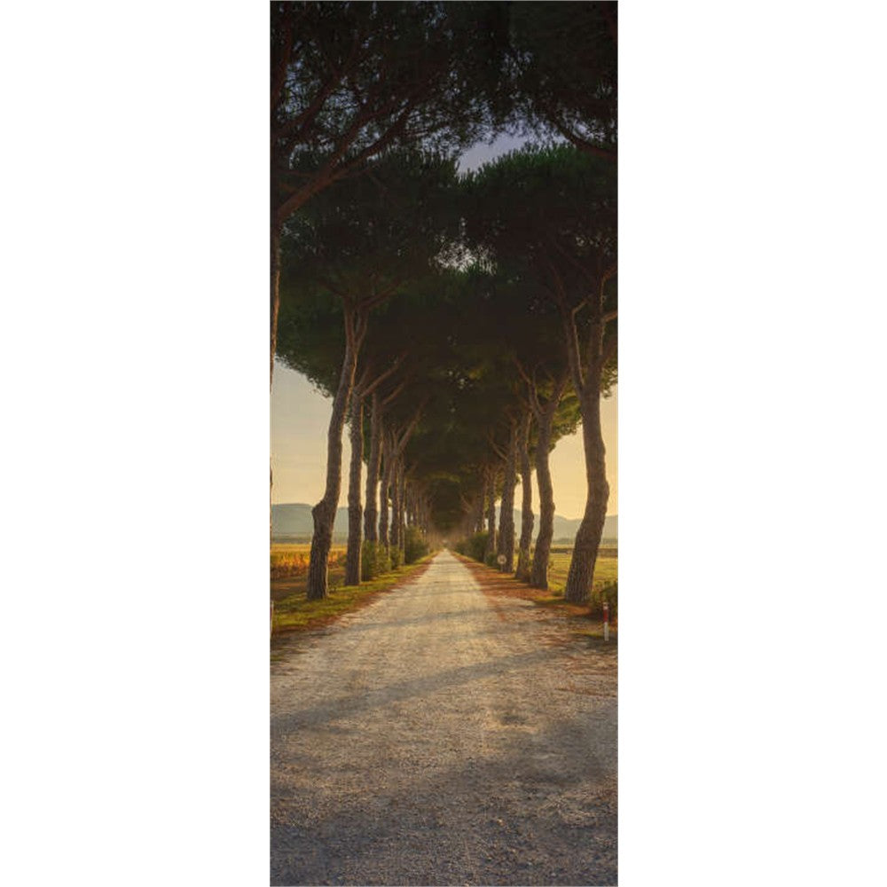 Panneau mural douche VIPANEL - Inspiration nature Chemin des pins - Finition brillant