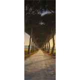 Panneau mural douche VIPANEL - Inspiration nature Chemin des pins - Finition brillant