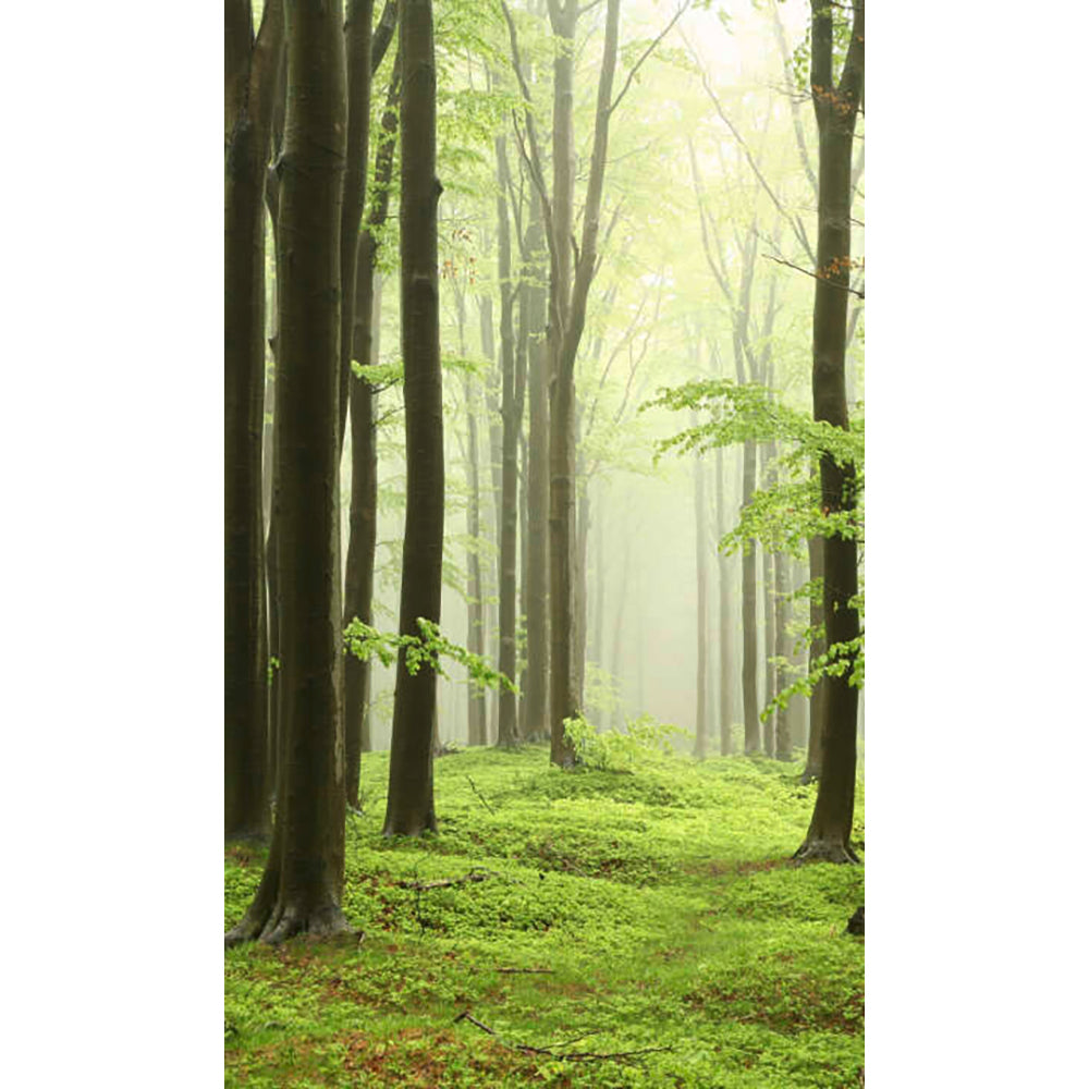 Panneau mural douche VIPANEL - Inspiration nature Brouillard forestier - Finition brillant