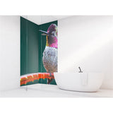 Panneau mural douche VIPANEL - Inspiration nature Colibri - Finition brillant