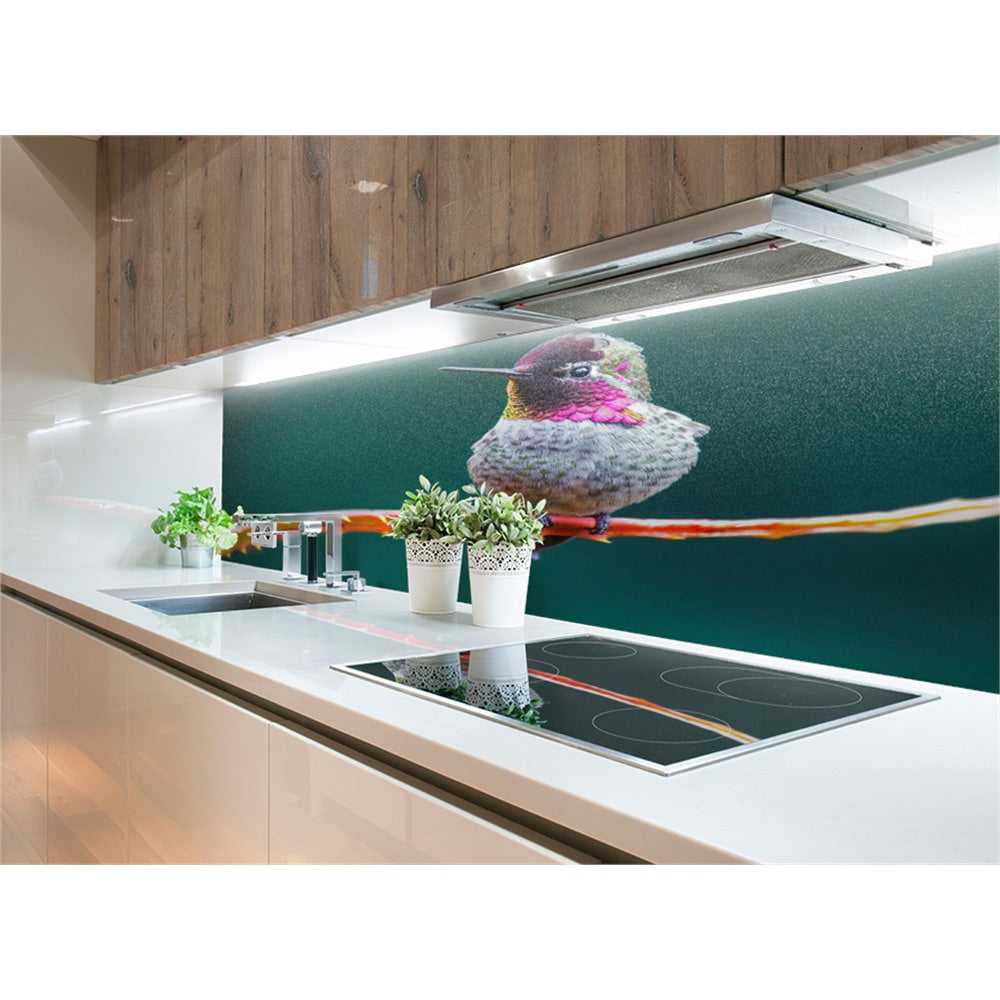Panneau mural douche VIPANEL - Inspiration nature Colibri - Finition brillant