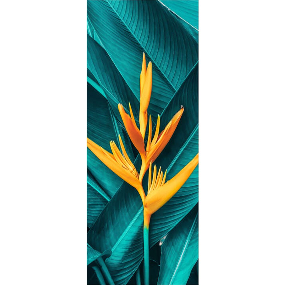 Panneau mural douche VIPANEL - Inspiration nature Fleur exotique - Finition brillant