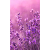 Panneau mural douche VIPANEL - Inspiration nature Lavande - Finition brillant