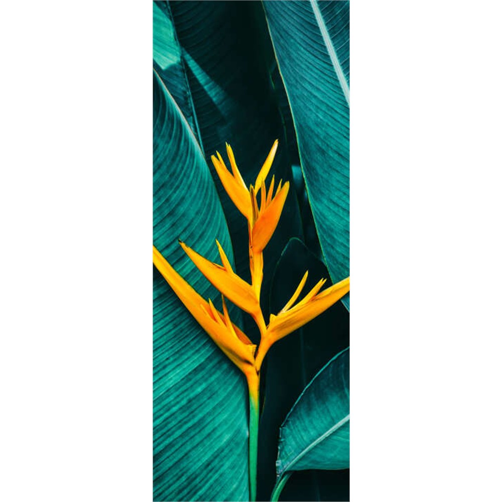 Panneau mural douche VIPANEL - Inspiration nature Heliconia - Finition brillant