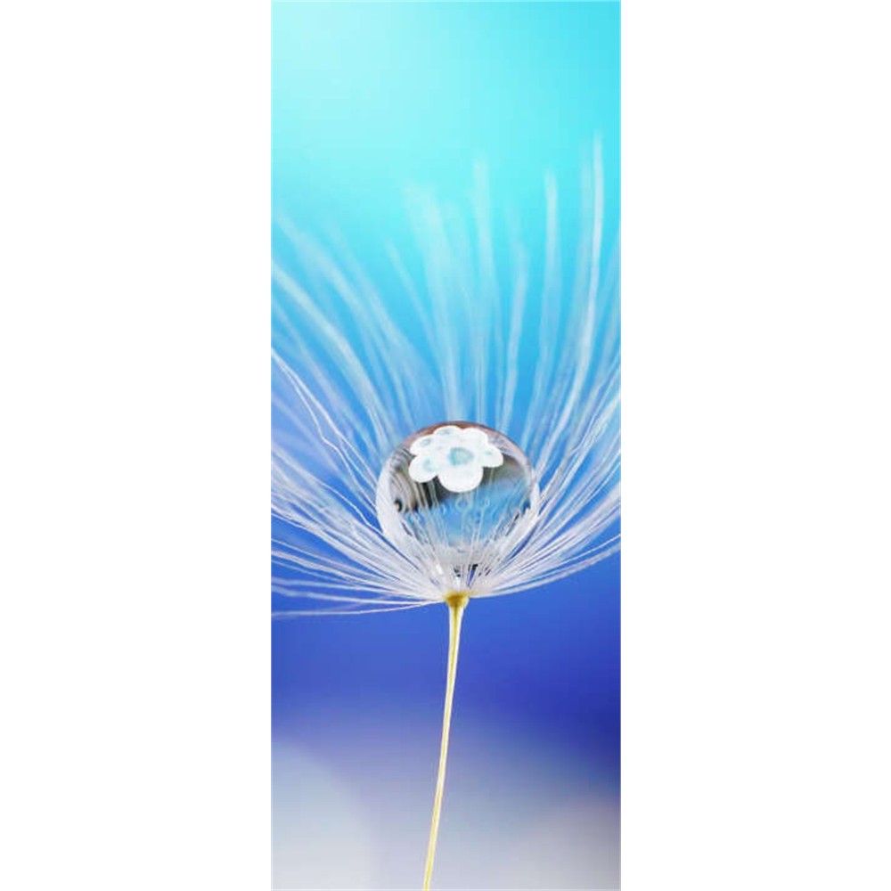 Panneau mural douche VIPANEL - Inspiration nature Goutte d'eau - Finition brillant