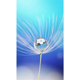 Panneau mural douche VIPANEL - Inspiration nature Goutte d'eau - Finition brillant