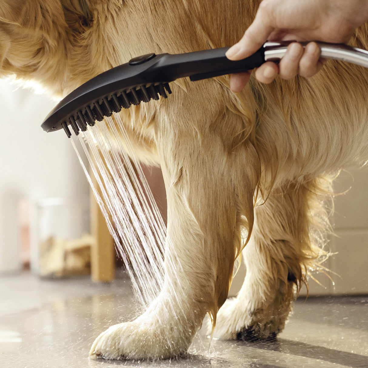 HANSGROHE Douchette pour chien 150 3 jets DogShower 26640670