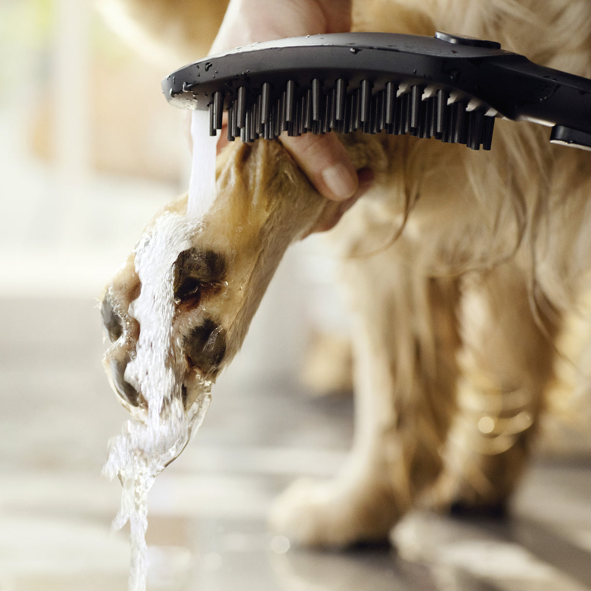 HANSGROHE Douchette pour chien 150 3 jets DogShower 26640670