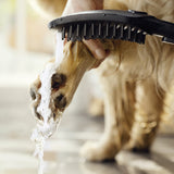 HANSGROHE Douchette pour chien 150 3 jets DogShower 26640670