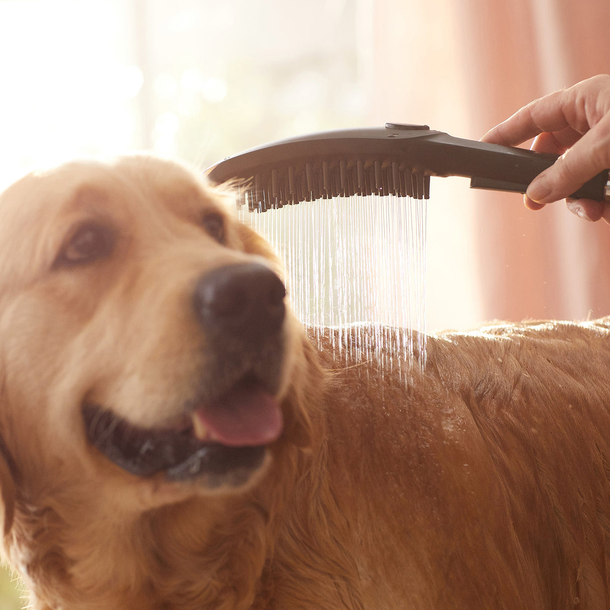 HANSGROHE Douchette pour chien 150 3 jets DogShower 26640670