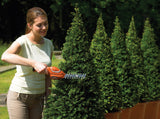 BLACK+DECKER Cisaille sculpte-haies sans fil 7,2V GSL700-QW