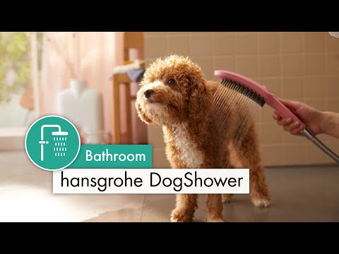 HANSGROHE Douchette pour chien 150 3 jets DogShower 26640670